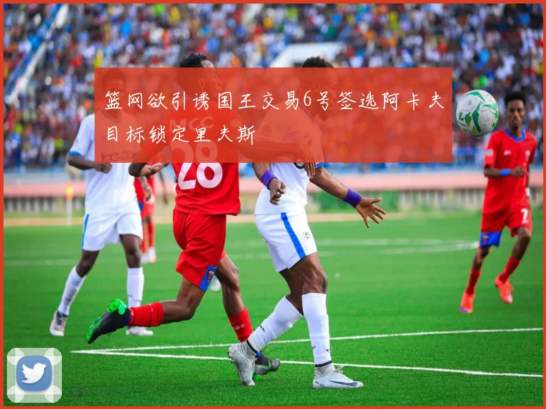 篮网欲引诱国王交易6号签选阿卡夫目标锁定里夫斯