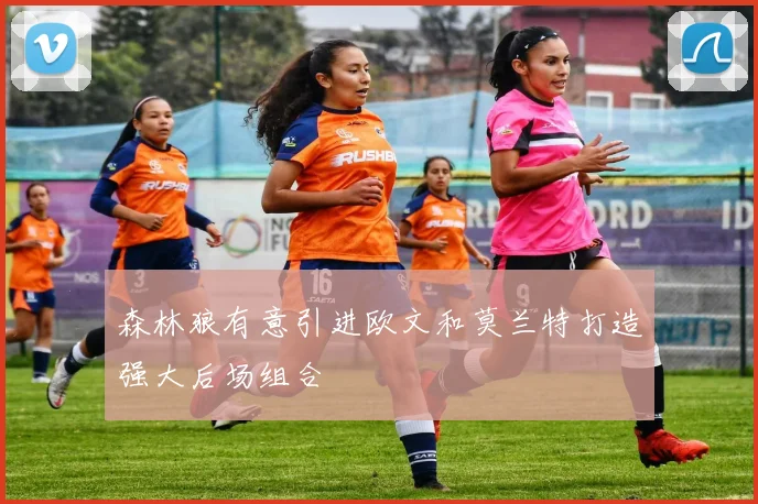 森林狼有意引进欧文和莫兰特打造强大后场组合